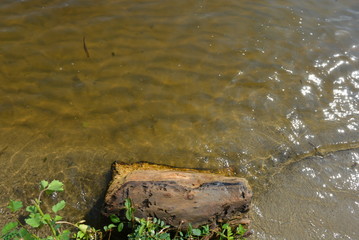 River unusual background with a wet wooden deck and green plants on the river bank with water and yellow sand