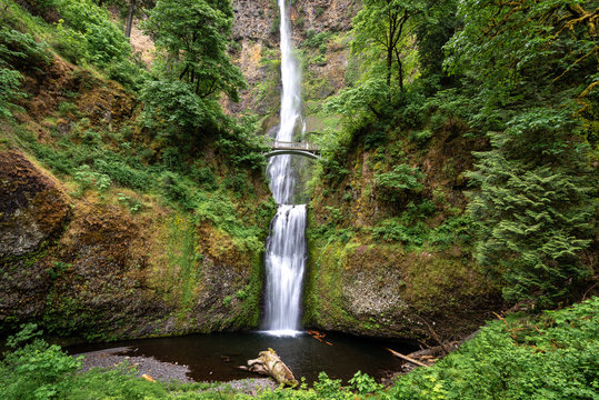 Fototapeta Multnomah Falls in Columbia River Gorge, Oregon, USA