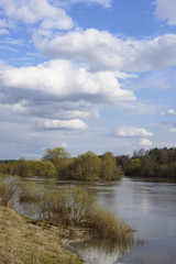 Fototapeta na wymiar Island on the river in summer day