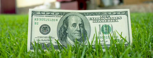 American dollars in the grass