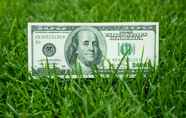 American dollars in the grass