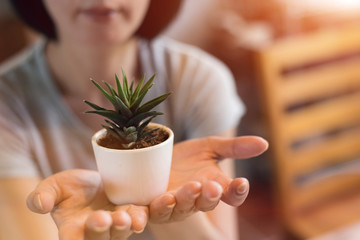 holding a cactus pot