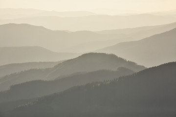 Mountains covered with woods in the early morning mist
