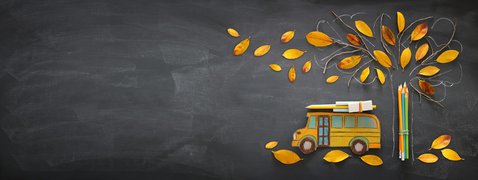 Back to school concept. Top view banner of school bus and pencils next to tree sketch with autumn dry leaves over classroom blackboard background.