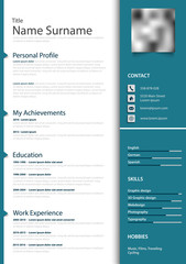 Professional personal resume cv in blue design and pointers