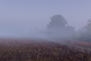 Beautiful foggy September meadow. Dense fog over rural road trough the dry grass meadow and trees silhouettes at early autumn morning.