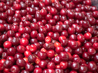 Background of red ripe cherry. Close up view on red berries. Texture of ripe cherry piled on the ground. Blurred background. Soft selective focus