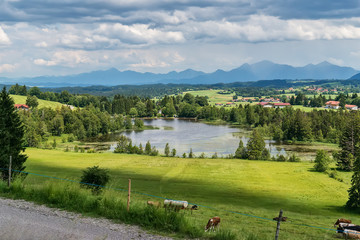Naklejka premium Idyllic summer landscape with mountain lake in the Alps