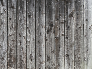 Fototapeta premium 古びた木板の壁
