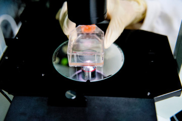 The researcher is using microscope with cell culture flask for monolayers cells in the culture medium to do the lab test in the research of drugs or chemicals at the laboratory room.
