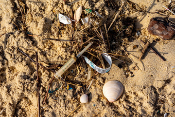 Pollution on the coast
