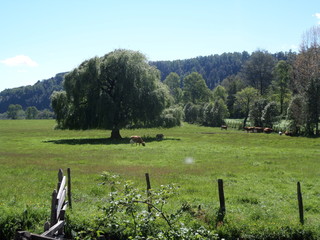 Cherquenco, Chile