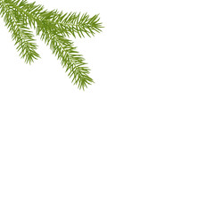 Fototapeta premium Christmas tree branches in the corner. Green fir tree branch.
