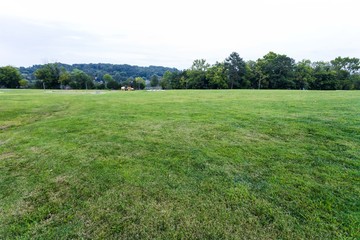 Scenics in Lakeshore Park