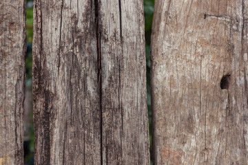 Old wood wall vintage texture.