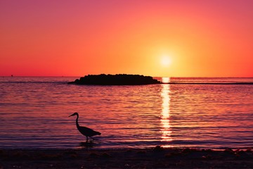 sunset crane