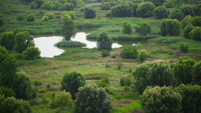 Aerial view of the Vacaresti Nature Park in Bucharest