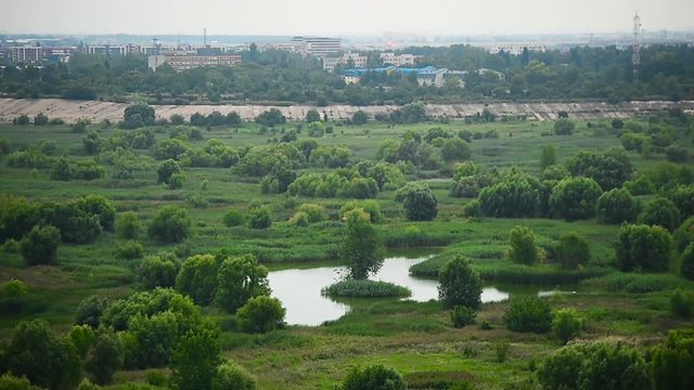 Aerial view of the Vacaresti Nature Park in Bucharest