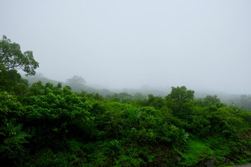 lush green landscape of mountain and hills in monsoon season, Purandar, Maharashtra, India