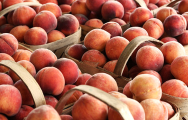 Fresh peaches in wooden baskets.