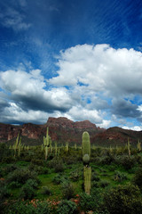 Arizona Desert Superstition Mountains with Cacti and Clouds
