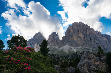 Sassolungo and Sassopiatto mountains, Italy. Photo from a hiking path in Dolomites, Dolomiti, Sella Alto Adige, South Tyrol