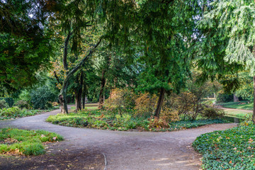 Fototapeta premium Path in park