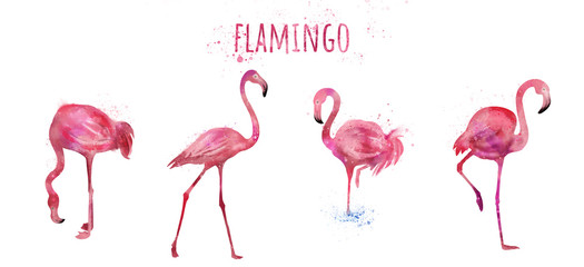Watercolor styled flamingo set