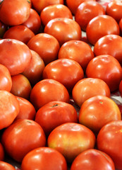 A closeup of a pile of red ripe tomatoes.