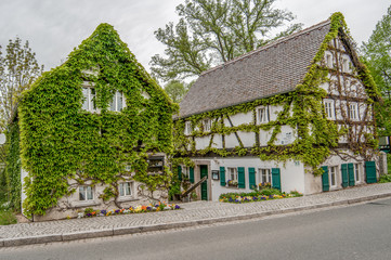 Buildings are overgrown green leaves