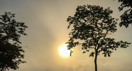 Fototapeta na wymiar Sunrise in the morning.