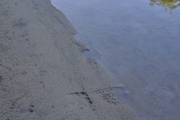 Footprints in the sand