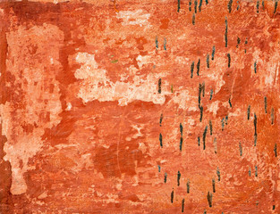 Obraz premium Texture of an old wall. Decayed plaster. Mockup. Background