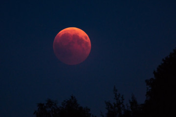 lunar eclipse - blood moon - moon - eclipse - lunar - obrazy, fototapety, plakaty