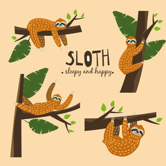 Set Cute funny sloth hanging on the tree. Sleepy and happy. Adorable hand drawn cartoon animal illustration. Vector cute sloth for greeting card, invites, poster, banner, t-shirt print, background © hadeev