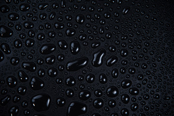 Drops of water on black background.