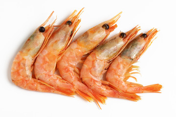 shrimp isolated on white background. top view