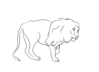 dog portrait profile, look down