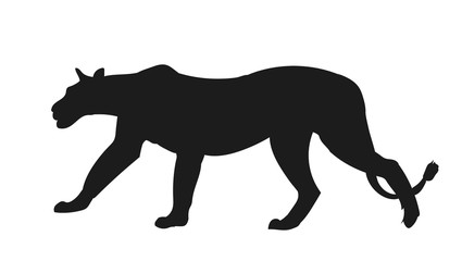 lioness silhouette, vector,
