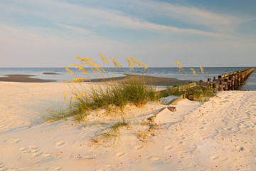 Sea oats on the beach with old wooden pier and ocean in background at sunset