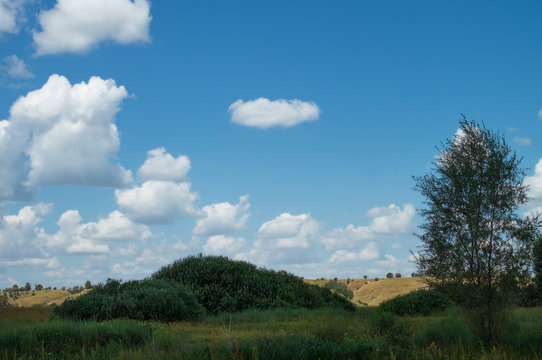 Cloudy summer sky over the meadow hilly valley of the reserved places of Russia. Landscape trees and grass © DiKiYaqua