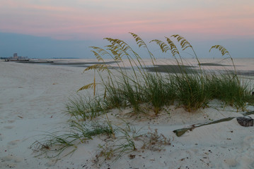 Sea oats on the beach and ocean in background at sunset
