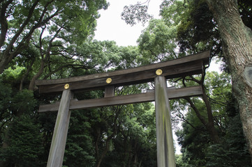 Ingresso nel parco Imperiale di Tokyo