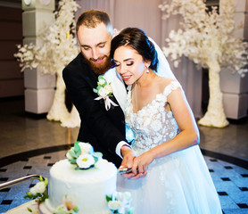 Happy bride and groom cut the wedding cake