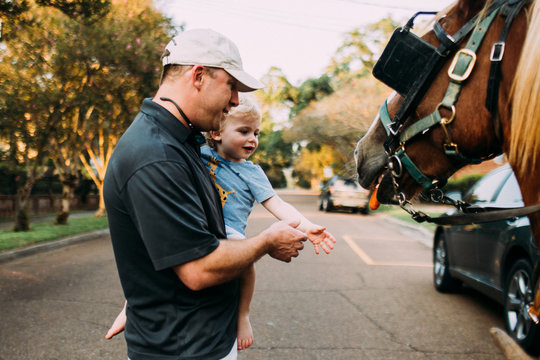 Little boy feeding horse a carrot in street