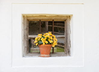 Vintage window of an old house