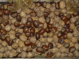 Frutos del bosque