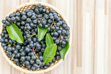 Fresh chokeberry (Aronia melanocarpa) in pot on wooden background