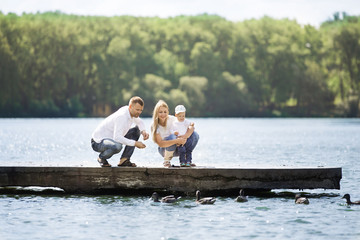 happy mom, dad and son feed the ducks on a Sunny day