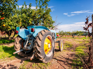 Old light blue tractor for agricultural crops